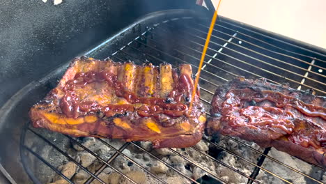 barbecue pork spareribs on grill over coals