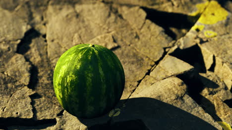 watermelon on rocks