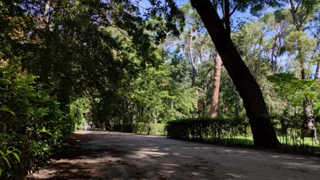 Timelapse-of-a-sand-walkway-between-bushes,-grass-and-tall-trees-at-Retiro-Park,-Madird