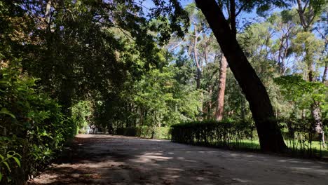 timelapse of a sand walkway between bushes, grass and tall trees at retiro park, madird
