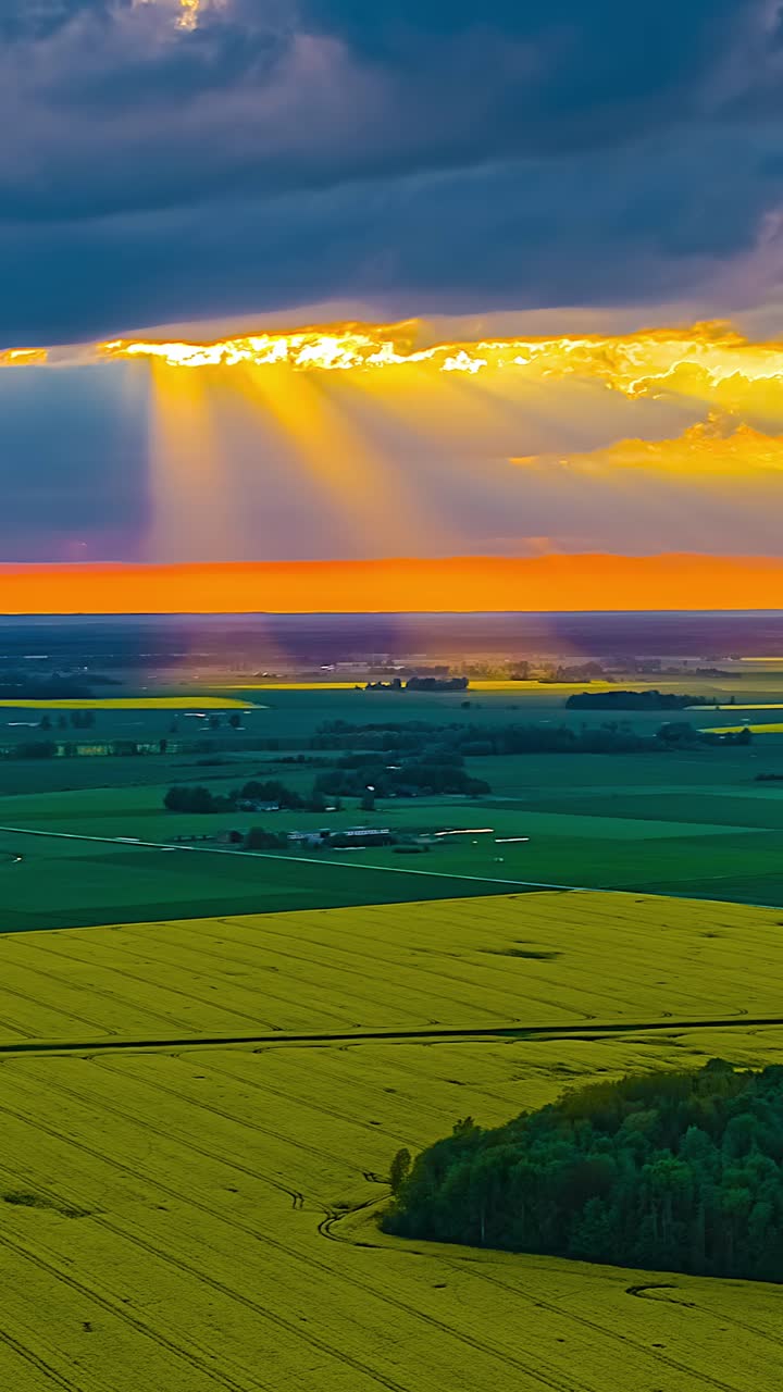 Dramatic sunset light beams through clouds above yellow rapeseed field, vertical drone hyperlapse