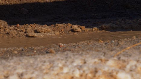 Truck-or-jeep-with-big,-off-road-tires-drives-through-mud,-water-and-snow-in-slow-motion-with-mud-splashing-everywhere---close-up