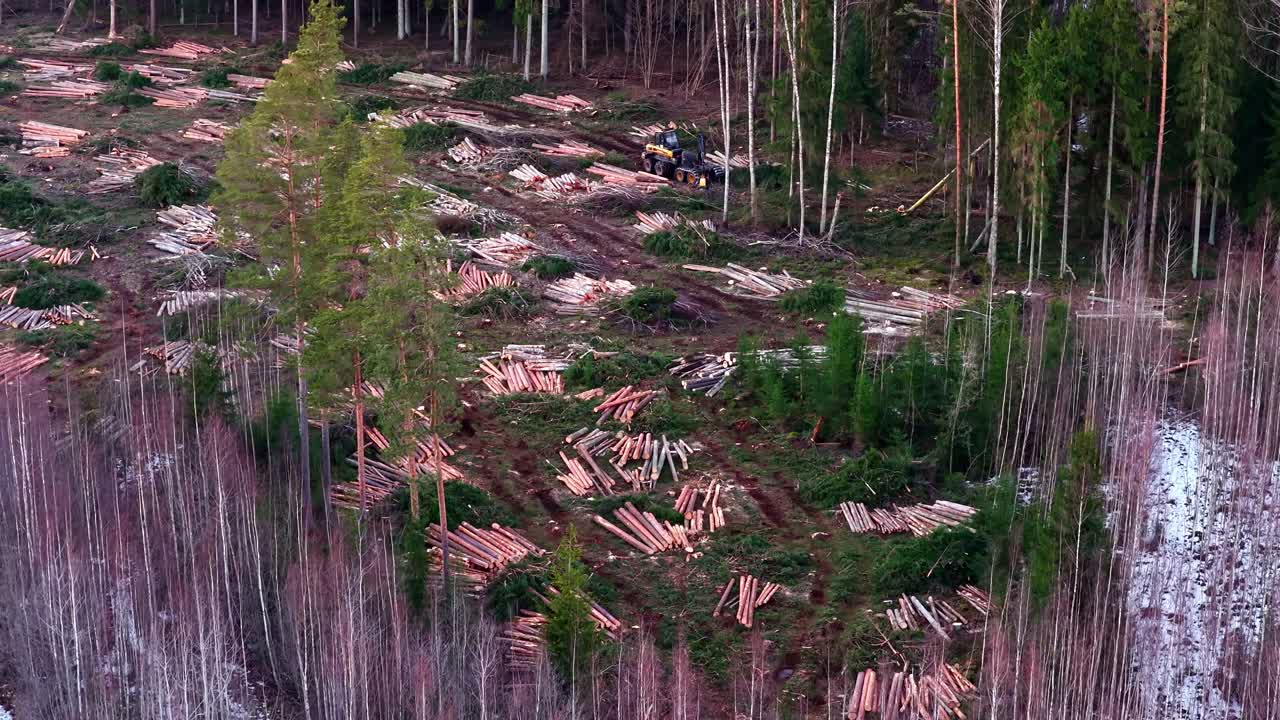 Metsänhakkuuaukio, jossa näkyy kaadettuja puutukkeja ja metsäkone ilmasta käsin.