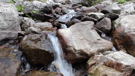 corriente ondulante fluye entre rocas y hierba