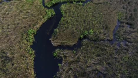 Eine-Glatte-Und-Gleichmäßige-Drohnenaufnahme,-Die-Einen-Sich-Schlängelnden-Fluss-In-Den-Sümpfen-Von-Florida-Zeigt