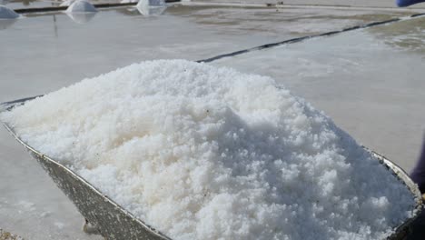 a sea salt farmer is collecting sea salt (17)