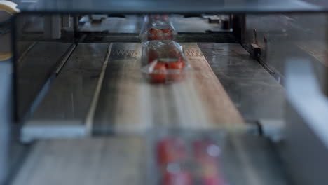 proceso de transporte de la línea de producción de paquetes de tomate en una fábrica de horticultura