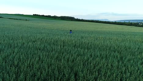 Un-Niño-Pequeño-Está-Corriendo-En-Un-Gran-Campo-De-Hierba