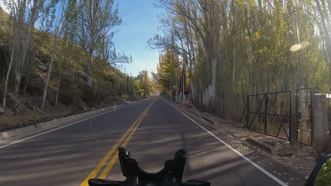 motorcycle pov: riding moto through autumn sun dappled highway trees