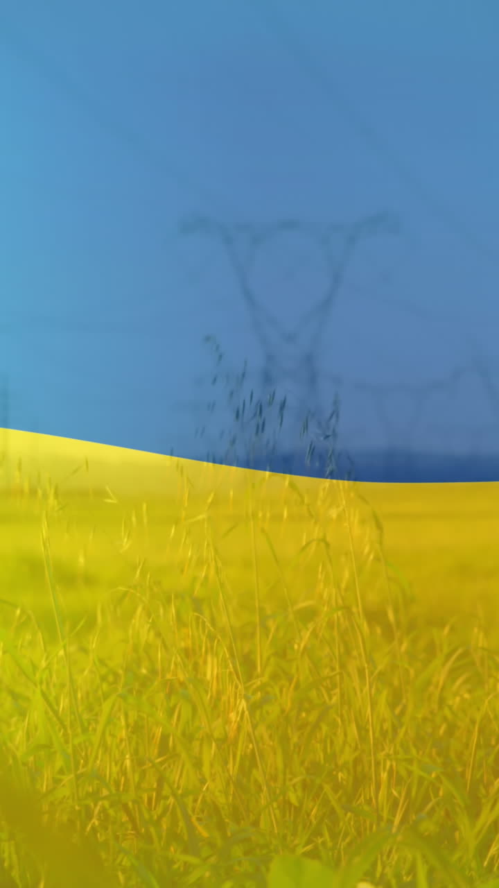 Animation of flag of ukraine over field and electricity poles