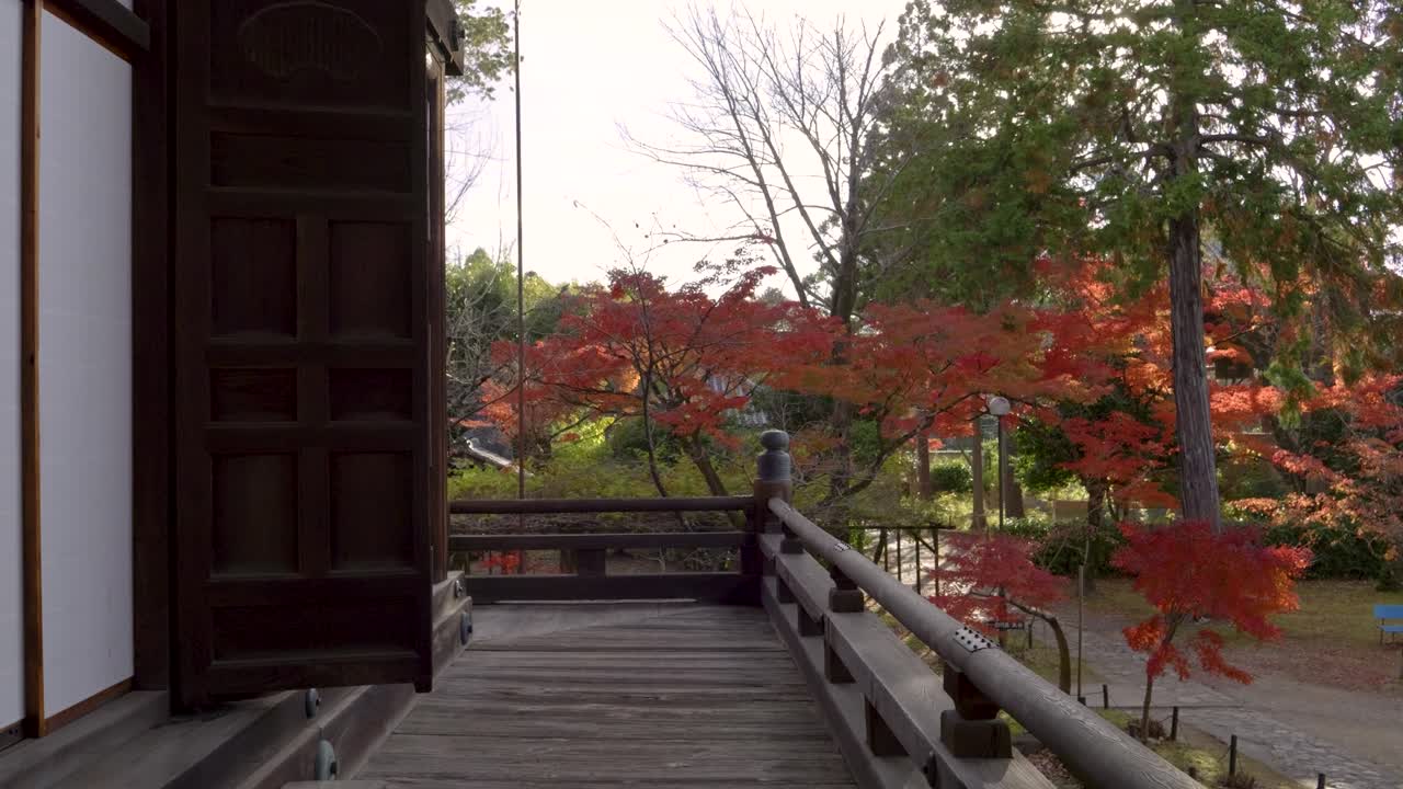 pov caminando por los hermosos terrenos del templo en japón durante los colores del otoño