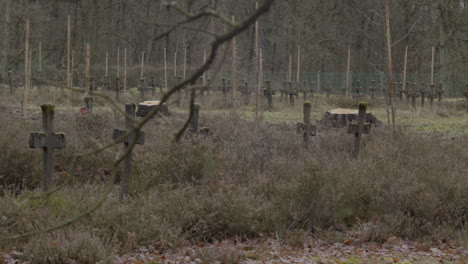 panning over old crucifixes and branches on the foreground