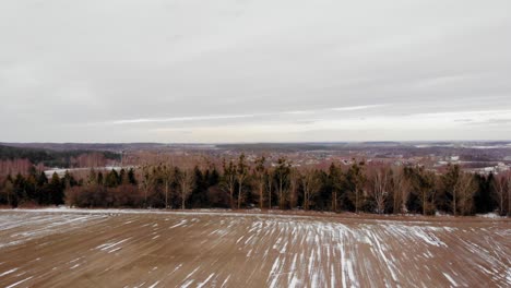 Paisaje-Vacante-Junto-Al-Espeso-Bosque-En-Buszkowy-Gone,-Condado-De-Gdansk,-Polonia