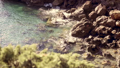 el agua cristalina llega suavemente a una playa rocosa con arbustos en primer plano en portugal.