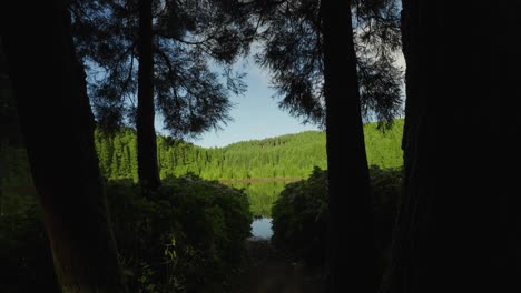 Vista-Encantadora-De-La-Laguna-Canário-En-Medio-De-La-Exuberante-Vegetación-De-Las-Azores,-Portugal