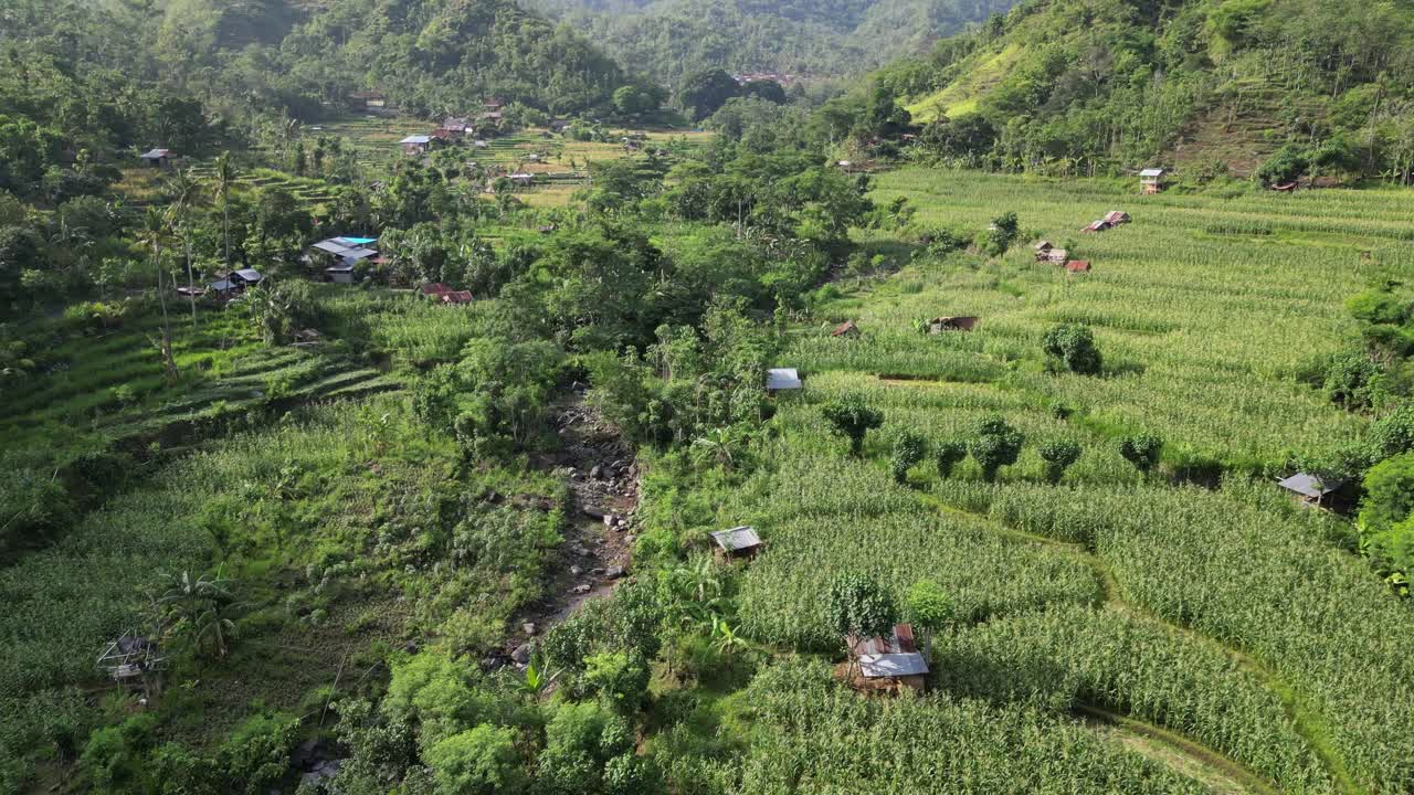 dron volando en un valle de montaña con granjas de terraza de campo de maíz al lado de un río