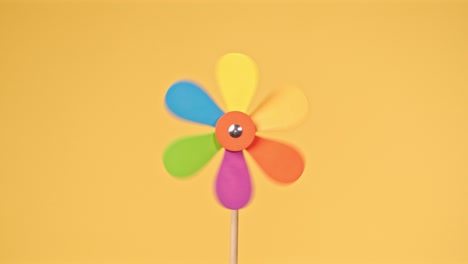 shot of a spinning plastic flower