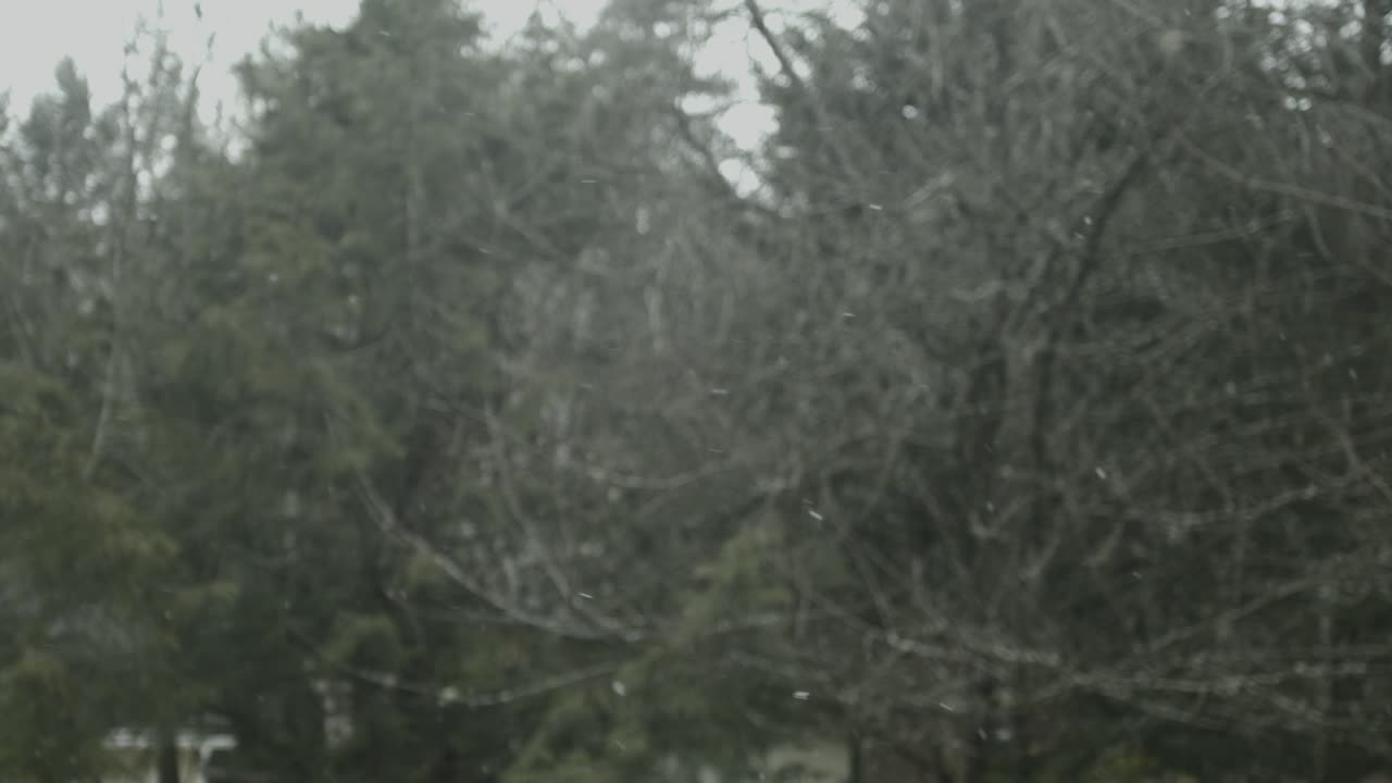 Snow falls in slow motion in front of a few trees
