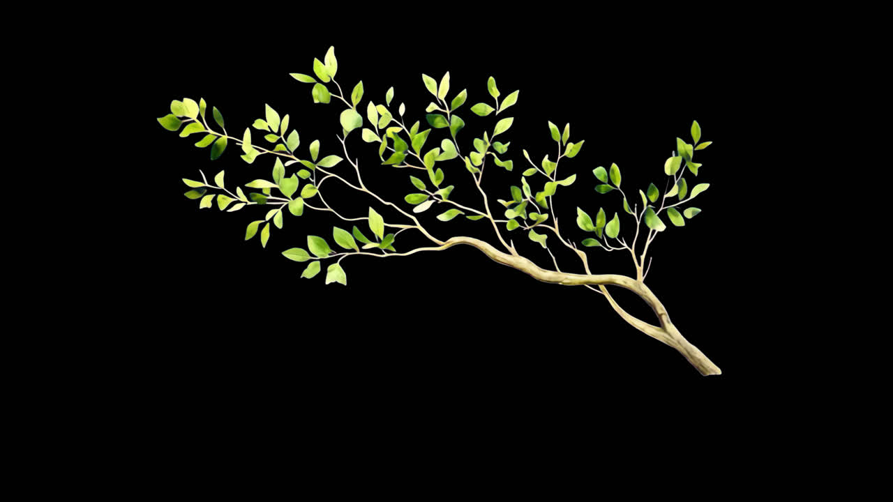 Minimalistic branch with green leaves animation isolated asset ...