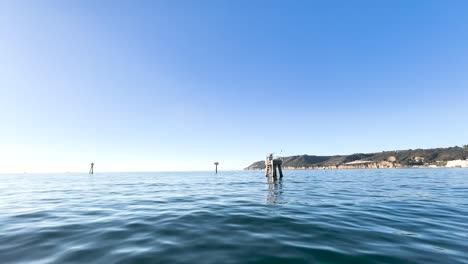 el pov de la bahía de san diego