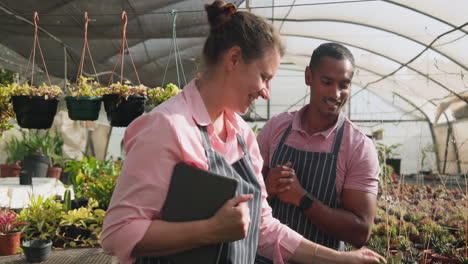 diverse gardeners in greenhouse examining plants and discussing growth using digital tablet