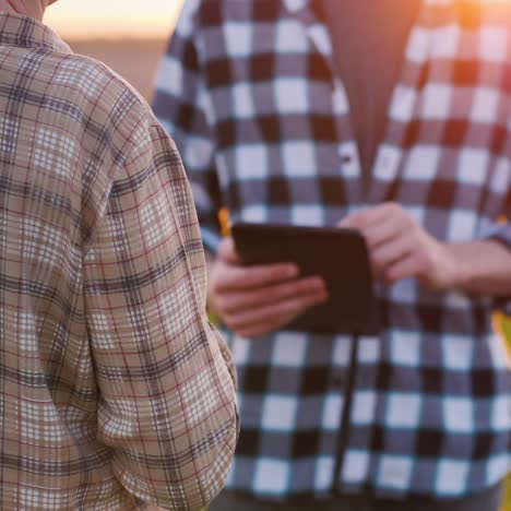 farmers stand in the field communicate and use a tablet