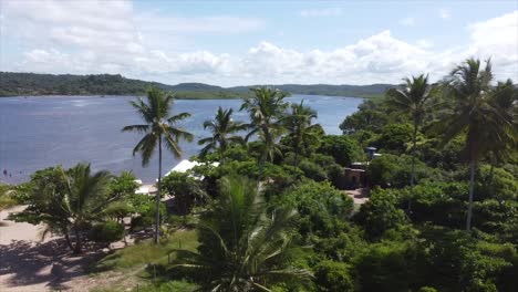 palmen- und strandschwenkaufnahme an der brasilianischen nordostküste