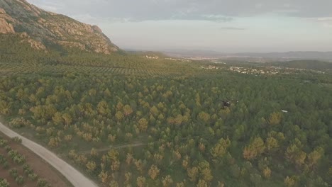 Dando-Vueltas-Alrededor-De-Un-Dron-Profesional-En-El-Paisaje-Montañoso-Y-Forestal,-Aéreo