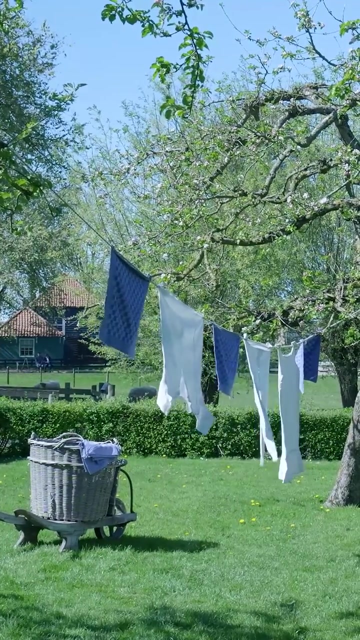 Clothes Drying on a Clothesline in a Green Garden on a Sunny Day