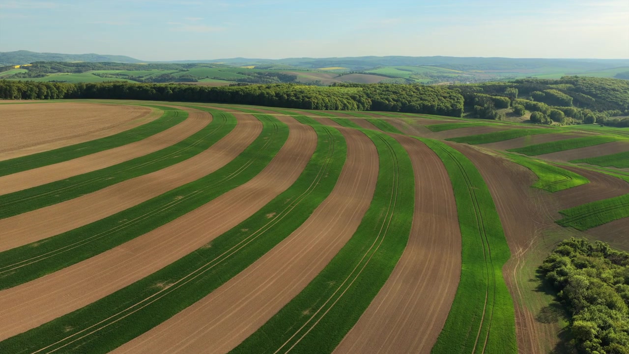 Aerial drone view of broad contour-ploughed farmland with alternating curved green and brown crop rows sweeping across rolling hills, Moravia, Czech Republic.