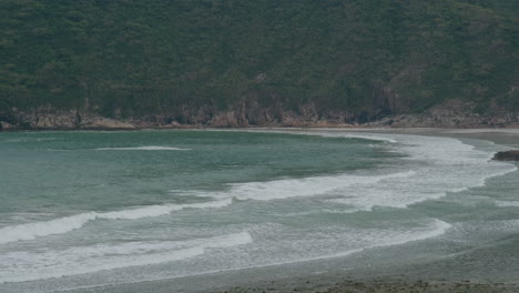 costa y montaña en una isla tropical