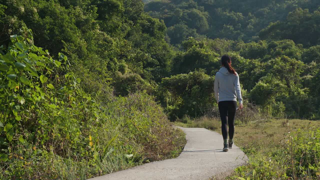 largo camino en medio del bosque