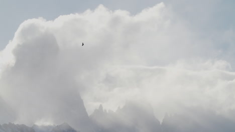 águila volando frente a montañas cubiertas de nubes