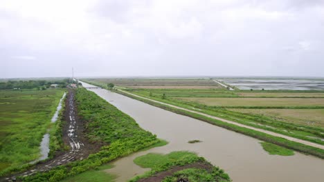 Aerial:-River-flowing-through-open-rice-fields-in-Nickerie-Suriname