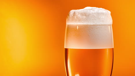 lager beer settles in the glass with a white cap of foam