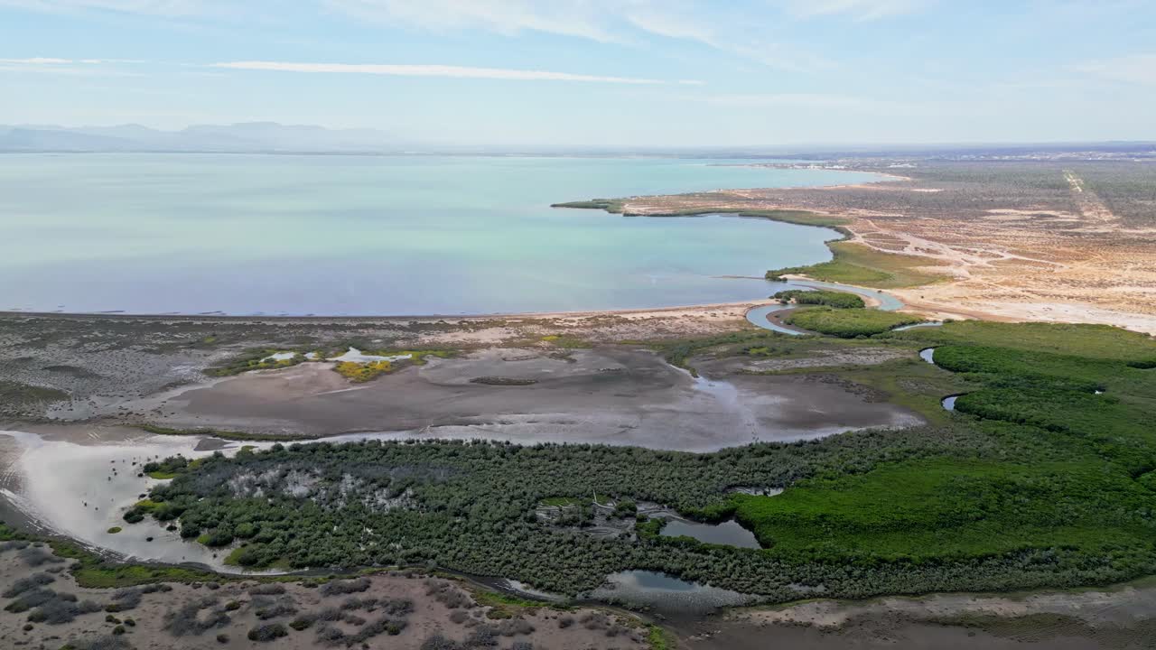 Lush green mangroves and tidal flats meet calm blue waters in La Paz, Mexico