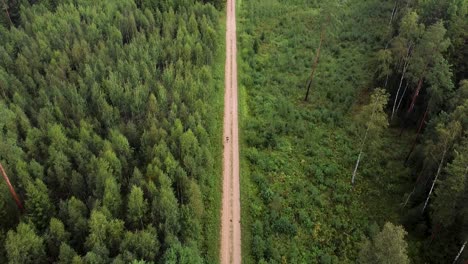 un excursionista solitario caminando por un camino de grava en un bosque estonio durante el verano verde