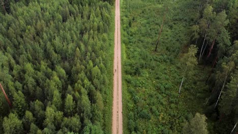 a solo hiker walking on a gravel path in an estonian forest during green summer