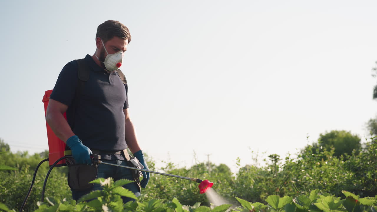 farmer wearing mask and gloves spraying pesticide with backpack sprayer over crops in field during golden hour sunlight filtering through trees