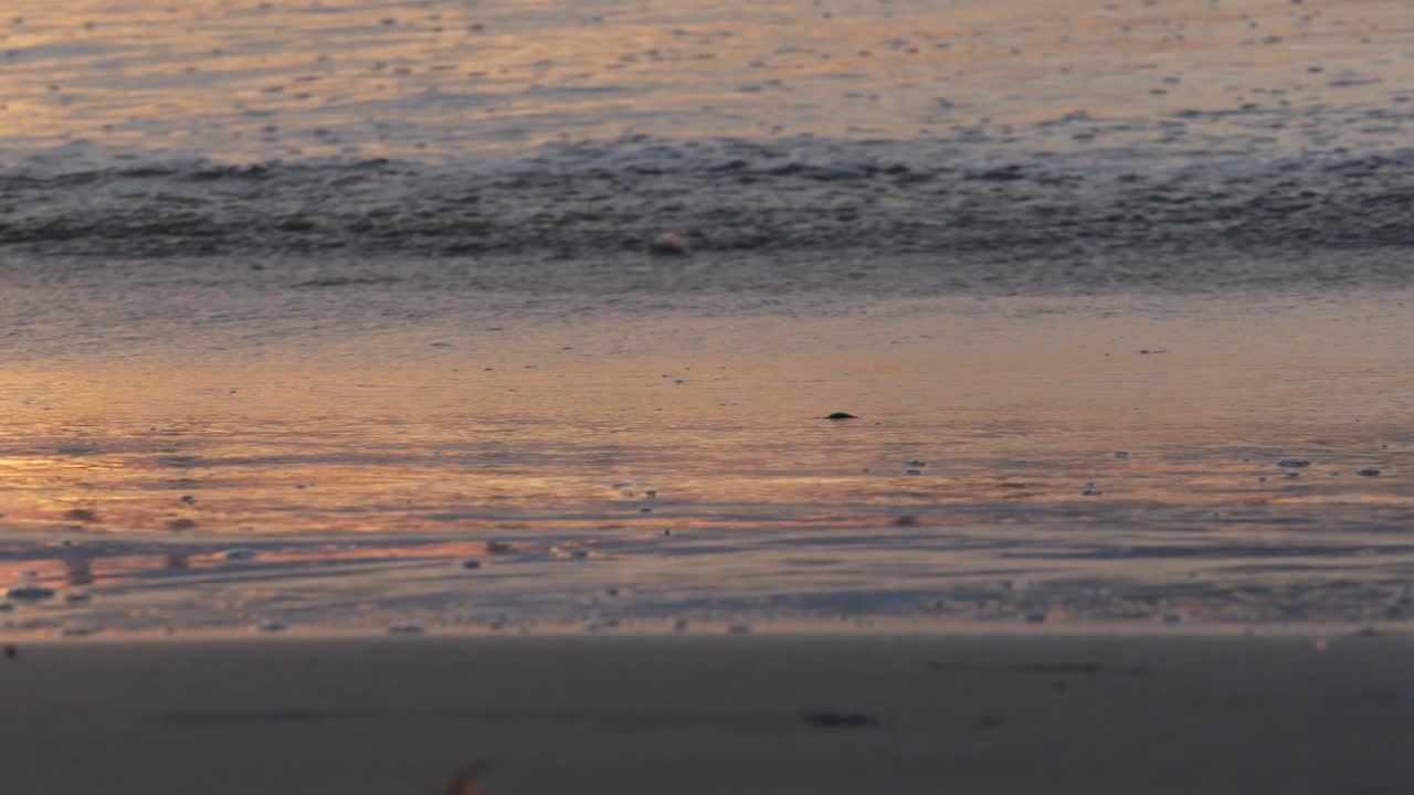 태양빛 속의 캘리포니아 바다, 해가 지는 동안의 바다 파도, 물 위에 반사되는 태양빛