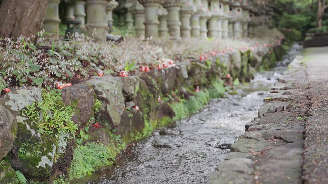 Bambole Daruma tradizionali sono posizionate tra rocce e acqua corrente al Tempio Katsuoji, rappresentando le credenze giapponesi in fortuna, perseveranza, desideri e successo.