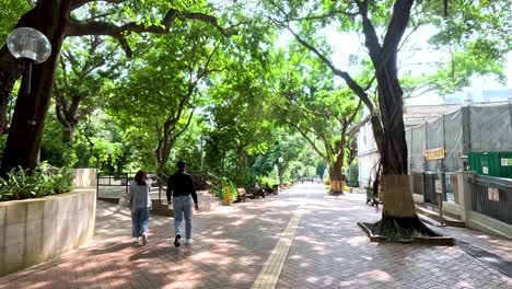 park pathway on a sunny day