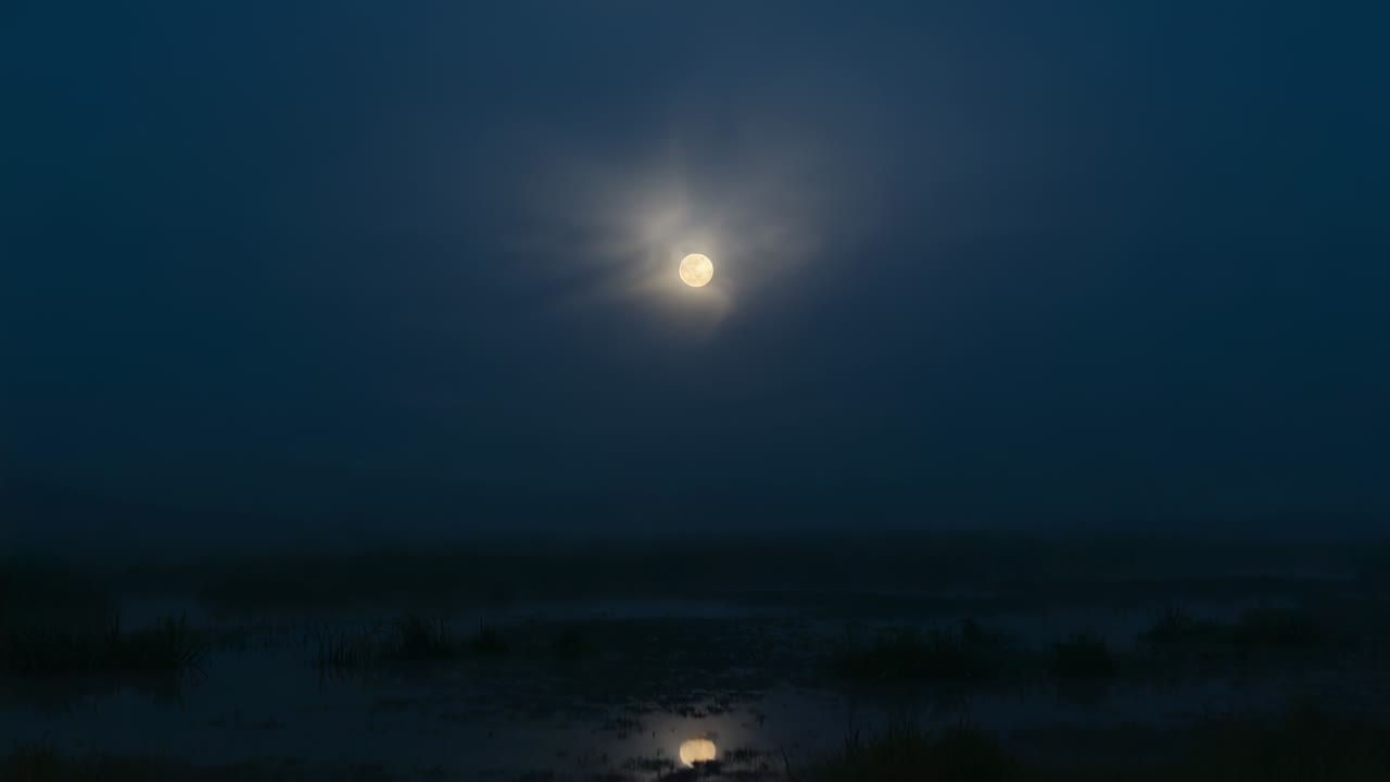 Telecamera in panoramica che rivela la luna piena, la quale proietta un alone e si riflette su un canale di marea in una palude costiera.