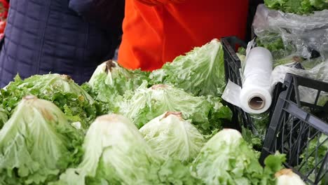 lechuga fresca en un puesto de mercado