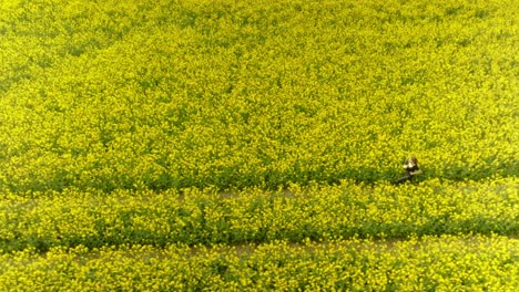 Una-Chica-Corre-Dramáticamente-Por-Un-Campo-Amarillo-En-Cámara-Lenta.