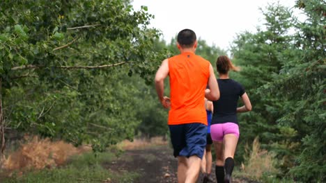 Rückansicht-Von-Fitten-Menschen-Gemischter-Abstammung,-Die-Auf-Einem-Weg-Im-Wald-Joggen,-4k