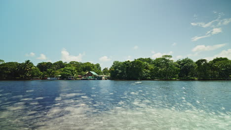tropical river scene
