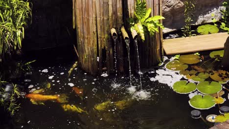 beautiful japanese-style water feature with koi fish