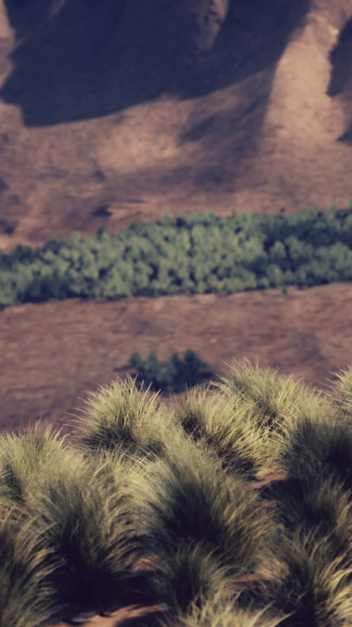 una hermosa vista de un campo de hierba en un valle desértico
