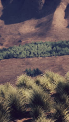 a beautiful view of a grassy field in a desert valley